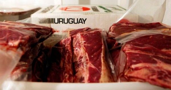 Uruguayan exports keep blooming